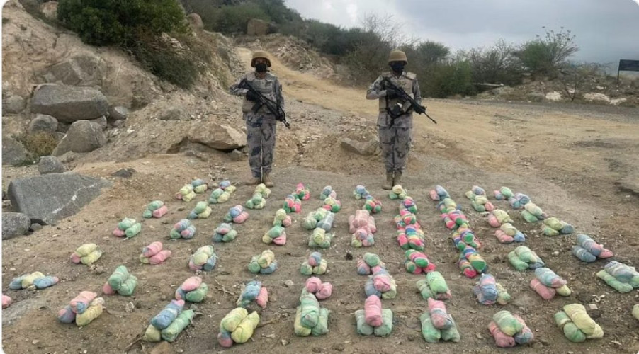 حرس الحدود يحبط تهريب 349 كيلوجرامًا من القات المخدر ويقبض على 9 مخالفين في عسير وجازان