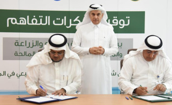 البيئة” و”التحلية” تتفقان على زراعة 5 ملايين شجرة بنهاية 2030