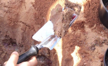 إدارة “تعليم الجوف” تختتم برنامج جلوب البيئي