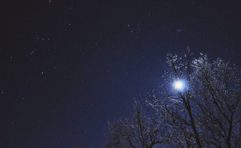 فلكية جدة: « النجوم » أكثر إشراقا بشتاء 2019