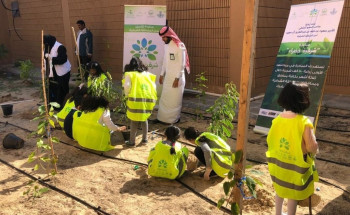 أمانة الشرقية .. زراعة 103 آلاف شجرة في الشهر الأول من “شرقية خضراء”