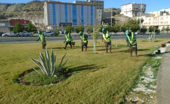 تأهيل تجميلي لـ ٨٠ موقعًا ببرنامج تخضير الطائف