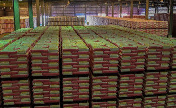 شركةالمطاحن الاولى بتبوك تنتج يومياً 600 طن من الدقيق