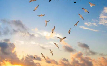 حقيقة الشوق