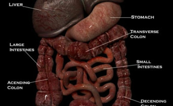 الاخصائية والباحثة الاحسائية: ريم الوصيبعي والقولون العصبي في حوار للصحيفة
