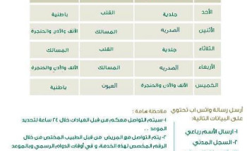 قطاع العويقيلة الصحي يُطلق مبادرة “العيادات الاستشارية الافتراضية”