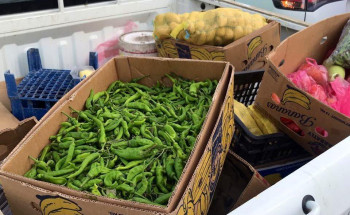 أمانة العاصمة المقدسة تواصل حملاتها على الباعة الجائلين