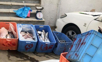 أمانة العاصمة المقدسة تصادر 398 كجم من المواد الغذائية غير الصالحة للاستهلاك في المسفلة