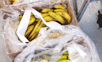 مصادرة وإتلاف 105 كجم فواكه في السوق المركزي بالكعكية