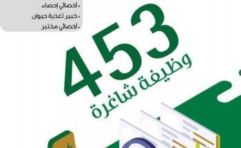 البيئة تعلن عن توفر 453 وظيفة شاغرة للرجال بنظام الوظائف المؤقتة