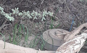 الدفاع المدني بمنطقة جازان يبطل مفعول لغمٍ أرضي بأحد الأودية جرفته السيول المنقولة من الأراضي اليمنية