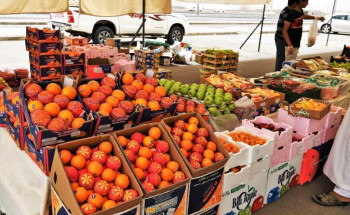 أمانة المدينة المنورة تستحدث سوقاً مؤقتاً للفاكهة والخضار في مخطط الملك فهد