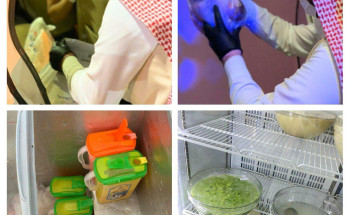 “أمانة تبوك” تقف على ١٨٥ منشأة وتؤكد على تطبيق الاحترازات والاشتراطات الصحية