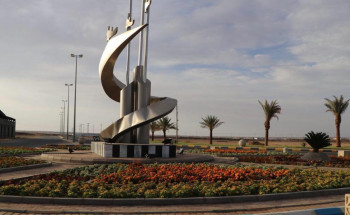 500 ألف شتلة ورد تزين محافظة تيماء