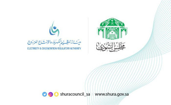 “الشورى”‬⁩ يناقش التقرير السنوي لهيئة تنظيم الكهرباء والإنتاج المزدوج