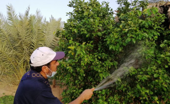 رواد كشافة محافظة المجمعة تفعل “‎اليوم العالمي للبيئة”