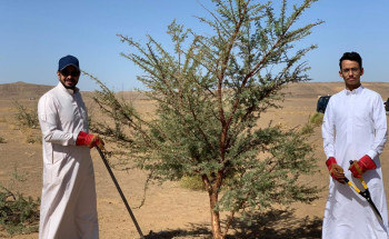رابطة تبوك الخضراء تتابع برنامجها الأول لتنمية الغطاء النباتي بالمنطقة في اليوم العالمي لمكافحة التصحر