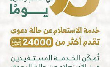 منصة “معين” الإلكترونية بديوان المظالم تنفذ عن بُعد أكثر من 24 ألف طلب لخدمة الاستعلام عن حالة الدعوى
