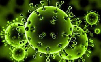 “مهره الحضرمي” تكشف قصتها مع وسائل التوعية في ظل انتشار وباء كورونا