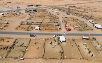 أمانة الجوف تشرع بتنفيذ خطه شاملة لتطوير أسواق النفع العام وتبدأ بتوسعة وتطوير سوق الإبل بمدينة سكاكا