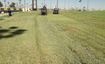 ‏بلدية محافظة رفحاء تخالف 20 مرفقاً وتواصل صيانة المسطحات الخضراء