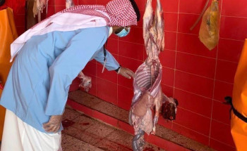 أمانة الجوف وبلدياتها : ذبح 3820 أضحية في أول أيام عيد الأضحى