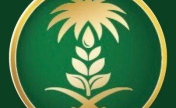 بيئة رفحاء تدعو 125 مواطناً صدرت قرارات تمليكهم أراض ٍ زراعية لسرعة مراجعتها