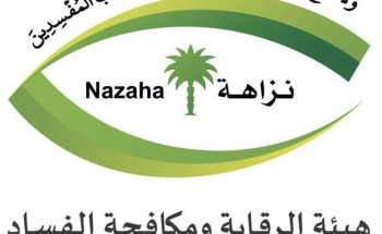 هيئة الرقابة ومكافحة الفساد تباشر (218) قضية جنائية