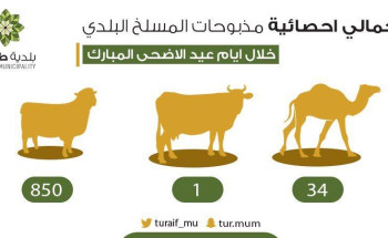 أكثر من 850 أضحية استقبلها المسلخ البلدي في محافظة طريف