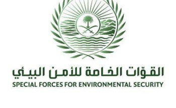 متحدث القوات الخاصة للأمن البيئي: تحديد هوية الأشخاص الذين قاموا بإيذاء سلاحف على أحد شواطئ محافظة أملج بتبوك