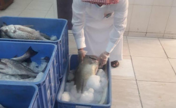 “بلدية القريات” : تنفذ 293 جولة على المحال التجارية تسفر عن مخالفة 36 محل