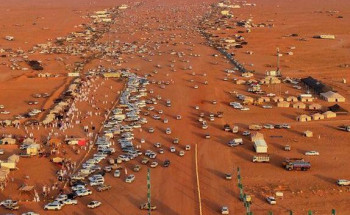 اختتام مزاد تربة حائل للإبل بعد ان سجل اعلى صفقة بيع بـ 2 مليون ريال ودخل 27 مليون ريال