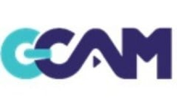 بيان رسمي يؤكد على الضوابط تجاه أي تجاوزات أو إساءات تثير التعصب الرياضي عبر منصات الإعلام