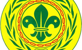 دراسة تحليلية كشفية تكشف عن إيجابيات وسلبيات التدريب الكشفي عن بُعد 