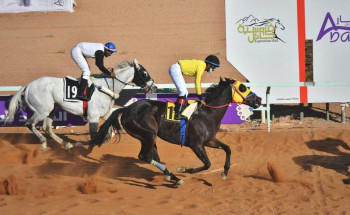 فروسية حائل تنظم حفل سباقها الثامن عشر غداً