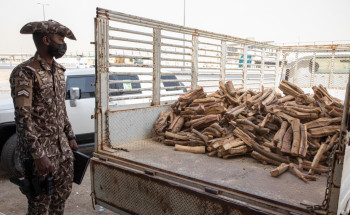 القوات الخاصة للأمن البيئي تضبط مخالفين لنظام البيئة لبيعهم واستخدامهم حطبًا محليًا في أنشطة تجارية