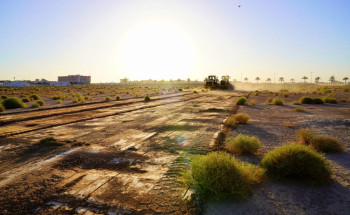 أمانة الجوف تشارك في تهيئة وتعقيم المصليات والجوامع لاستقبال المصلين في عيد الفطر