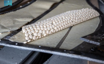 مكافحة المخدرات: إحباط محاولة تهريب(14,400,000)قرص إمفيتامين مخدر مخفية داخل شحنة ألواح حديدية قادمة من لبنان