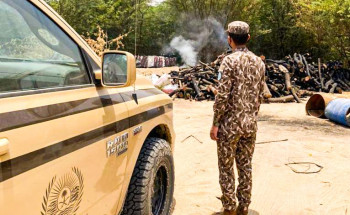 ضبط مخالفين لنظام البيئة يقطعون الأشجار لتحويلها إلى فحم بمنطقة مكة المكرمة