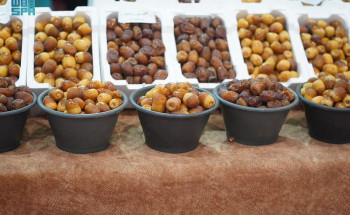 ٦٥ نوعا من التمور في مهرجان التمر والعسل بدومة الجندل أبرزها حلوة الجوف