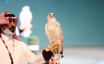 300 ألف ريال حصيلة اليوم الثالث للمزاد الدولي لمزارع إنتاج الصقور