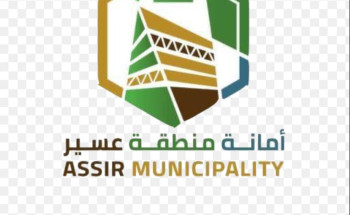 مبادرة تطوعية لمعالجة الأرصفة بأبها