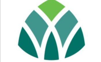 أمانة المدينة :خمس خطوات للتعامل مع المركبات التالفة لتحسين المشهد الحضري