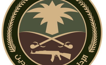 ‏‎الإدارة العامة للمجاهدين: إحباط 4 محاولات لنقل 31 من مخالفي نظام ‎أمن الحدود