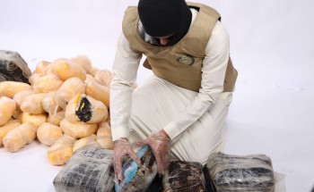 مكافحة المخدرات تحبط محاولة تهريب(233)كيلو جرامًا من الحشيش المخدر بالمنطقة الشرقية
