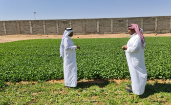 الإرشاد الزراعي بمكتب وزارة البيئة والمياه والزراعة بمحافظة حفرالباطن يواصل حملاته الإرشادية