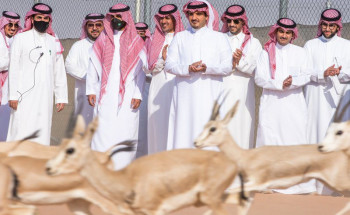وزير الداخلية يطلق 70 ظبي ريم و20 مها عربيًّا بمحمية الملك عبدالعزيز