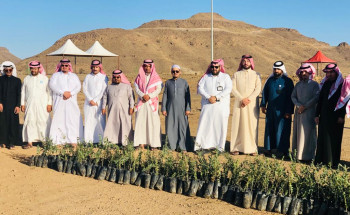 زراعة 2000 شتلة في سراة عبيدة وقطاع تهامة