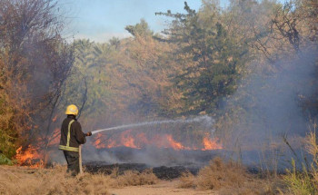 إخماد حريق اندلع في حشائش وأشجار بحي سلطانة بالرياض