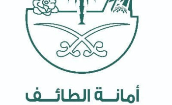 أمانة الطائف: الهبوط الخفيف الذي تعرضت له الطبقة الاسفلتية نتج عن كسـر فـي أحـد خطـوط انابيب تصريف مياه الصرف الصحي